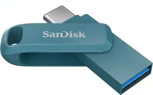 SanDisk SDDDC3-256G-I46NPD 256 GB Pen Drive Compatible with Desktop Computer, Laptop, Mobile USB 3.2 Plastic Case (Blue)